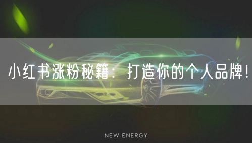 小红书涨粉秘籍：打造你的个人品牌！